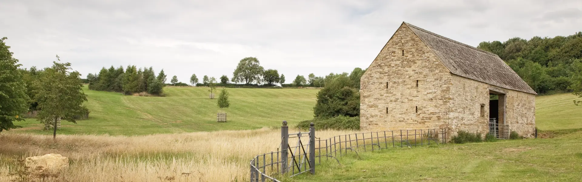 Agricultural Diversification
